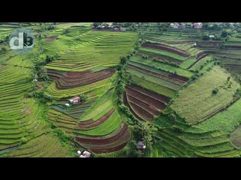 Preview image for the video "Canlaon Rice Terraces".