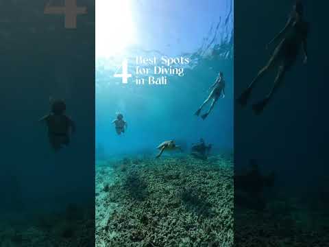 Preview image for the video "4 Best Spots for diving in Bali".