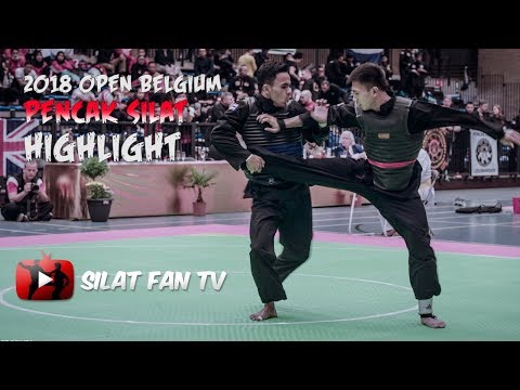 Preview image for the video "2018 OPEN BELGIUM PENCAK SILAT HIGHLIGHT".