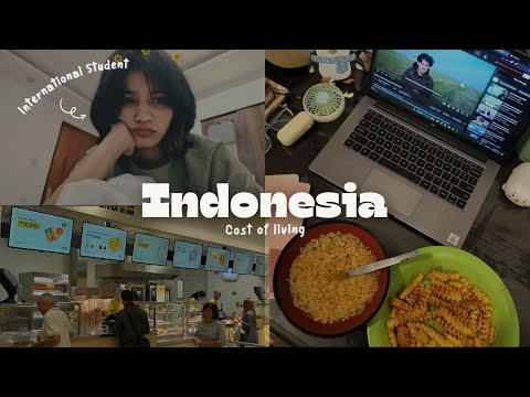 Preview image for the video "インドネシアでの生活費⋆.˚🇮🇩⋆（留学生として）".