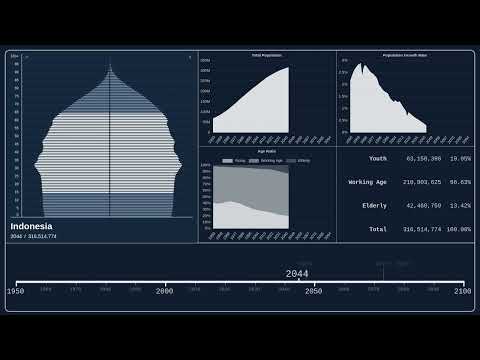 Preview image for the video "🇮🇩 Indonesia — Population Pyramid from 1950 to 2100".