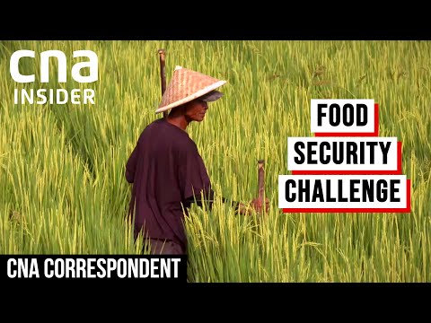 Preview image for the video "Indonesia Struggles To Reach Food Self-Sufficiency | CNA Correspondent".
