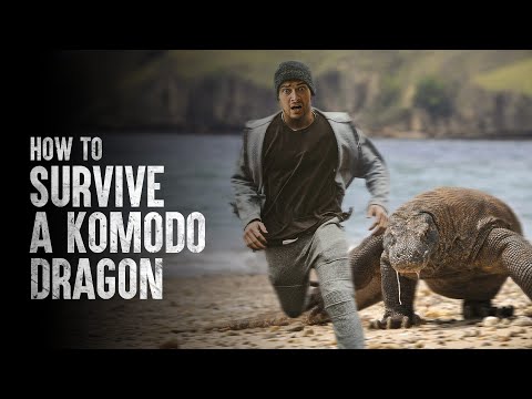 Preview image for the video "How To Survive a Komodo Dragon Attack".