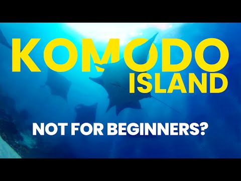 Preview image for the video "Your Ultimate Guide to Scuba Diving in Komodo Islands Paradise".