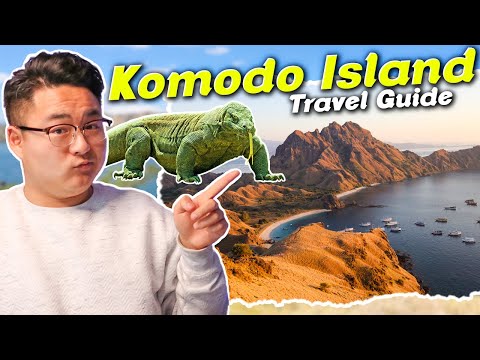 Preview image for the video "How To Travel Komodo Island | Travel To Bali Indonesia Guide".