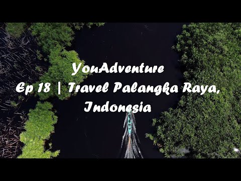 Preview image for the video "Ep 18 | Travel Palangka Raya, Indonesia | YouAdventure🔥🔥🔥".