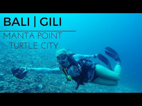 Preview image for the video "Manta Point &amp; Turtle City, Bali &amp; Gili | GoPro".
