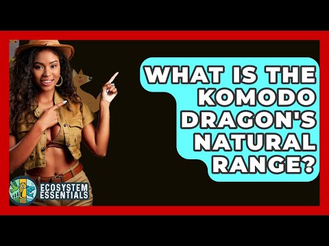 Preview image for the video "What Is The Komodo Dragon Natural Range - Ecosystem Essentials".