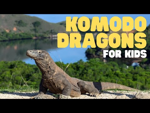 Preview image for the video "Komodo Dragons for Kids | Learn all about these apex predators!".