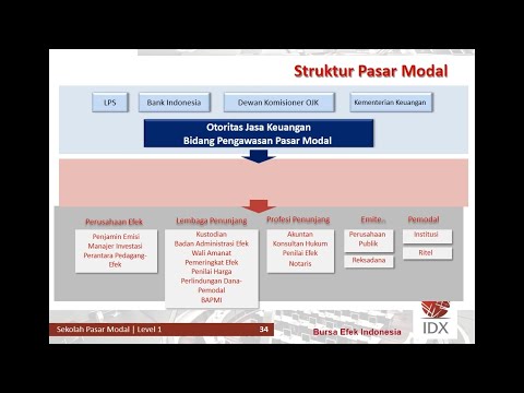 Preview image for the video "Capital Market School Level 1 | Part 3".