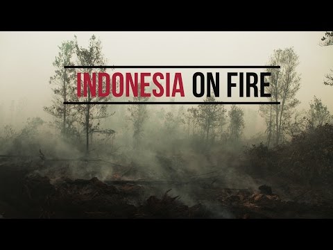 Preview image for the video "Indonesia on Fire".