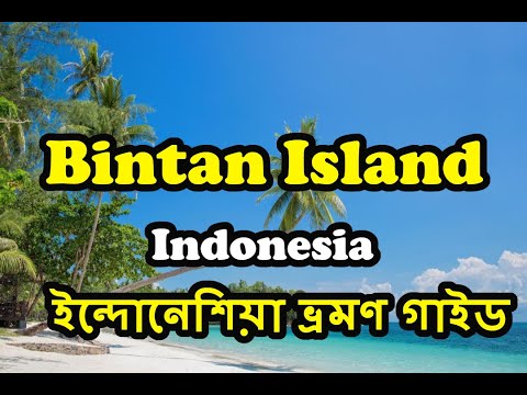 Preview image for the video "Bintan Island tour Indonesia--EP2 Tanjung Pinang".