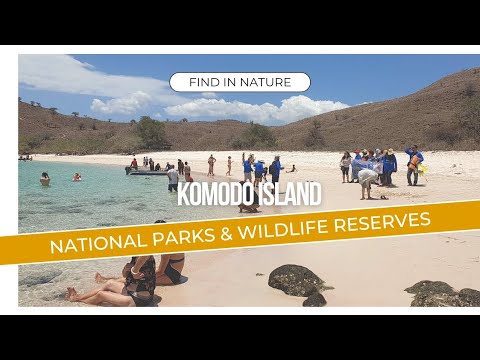 Preview image for the video "Best time to visit Komodo Island | Dry season April to November".