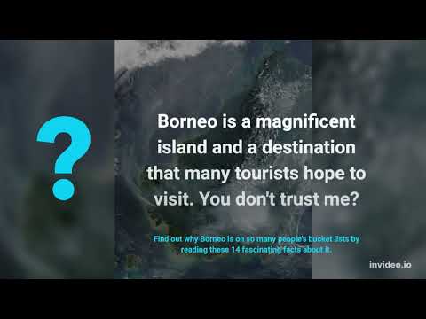 Preview image for the video "Facts about Borneo (Kalimantan) @Pipo Info".
