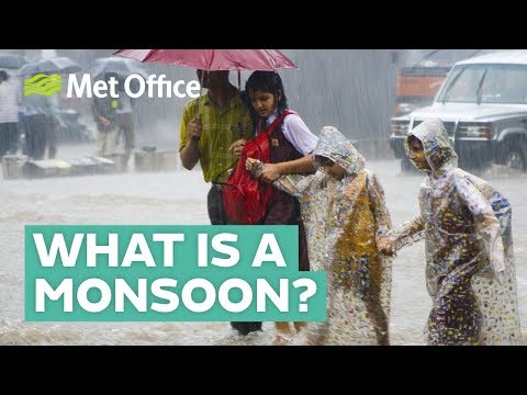 Preview image for the video "What is a monsoon?".