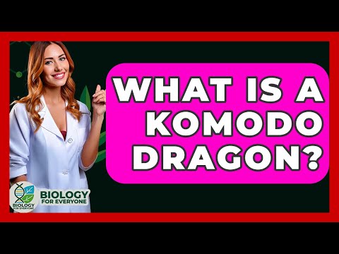 Preview image for the video "What Is A Komodo Dragon? - Biology For Everyone".