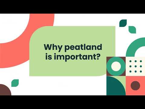 Preview image for the video "Peatland Ecotourism in Central Kalimantan".