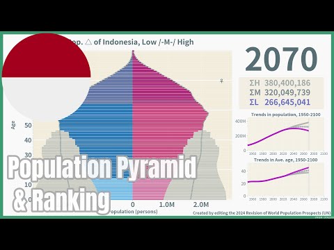 Preview image for the video "[🇮🇩Indonesia] Population Pyramid &amp; Ranking (1950-2100) #wpp2024".