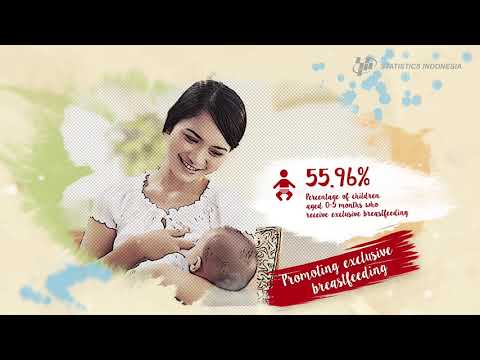 Preview image for the video "Statistics Indonesia Statistics for Better Life".