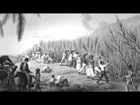 Preview image for the video "What actually happened in Cultivation System? | Indonesian History".