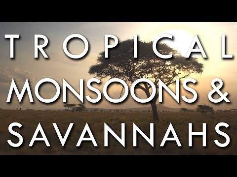 Preview image for the video "The Tropical Monsoon and Tropical Savannah Climates - Secrets of World Climate #2".