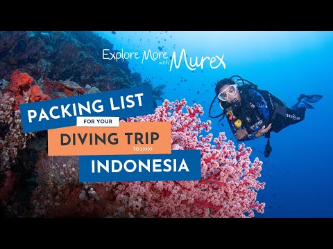 Preview image for the video "What to Pack for Your Diving Trip to Indonesia | Explore More with Murex Resorts Ep 1".