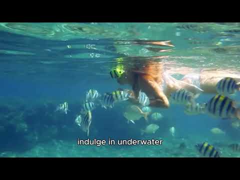 Preview image for the video "The Best Time to Visit Indonesia: A Complete Guide to Perfect Travel Planning!".