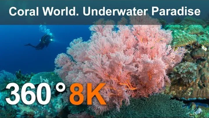 Preview image for the video "Lumea Coralilor. Paradis subacvatic. Filipine. video subacvatic 360 în 8K.".