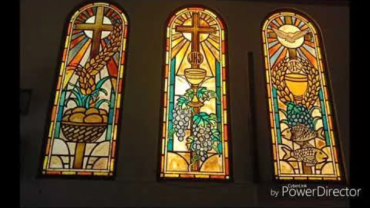 Preview image for the video "San Diego Pro-Cathedral (Silay City)".