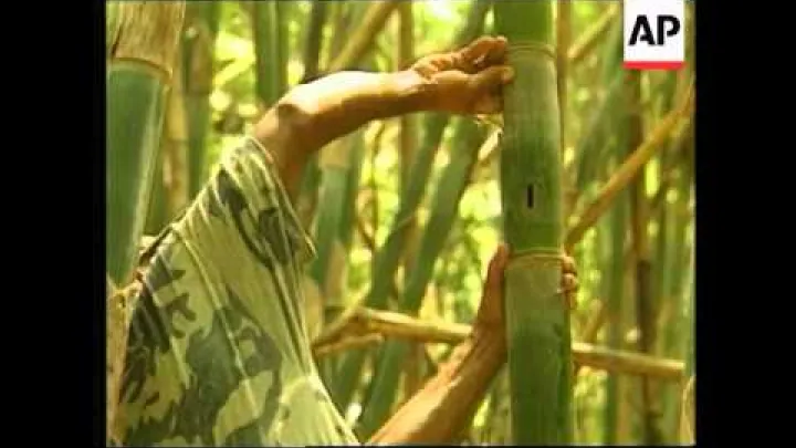 Preview image for the video "FILIPÍNY: ZAMBALES: OBJEVEN NOVÝ DRUH NETOPÝRA".