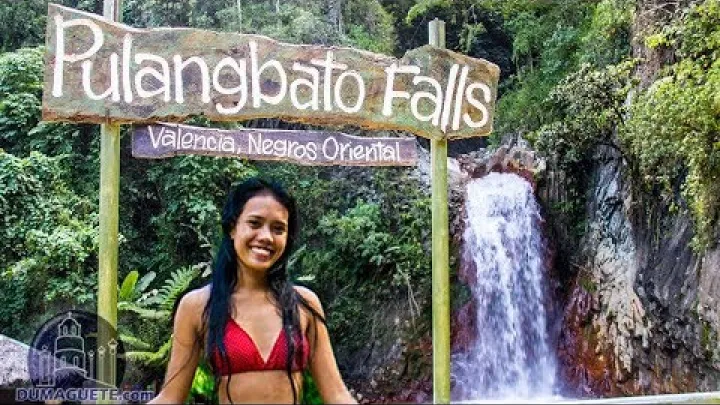 Preview image for the video "Chutes de Pulangbato à Valencia, Negros Oriental".
