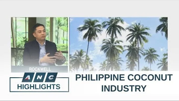 Preview image for the video "Grupo de fabricantes de coco: PH não tem instalações para processar produtos de alto valor | Edição antecipada".