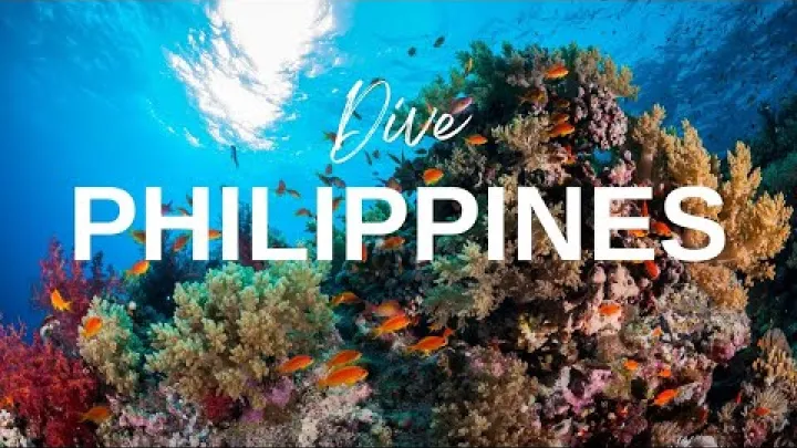 Preview image for the video "Scufundări în Tubbataha Reef, Filipine".