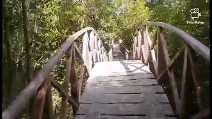 Preview image for the video "MANGROVE OF IBAJAY AKLAN//RELAXING AND PERFECT PLACE FOR ALL OCCASIONS//PROUD AKEANON".