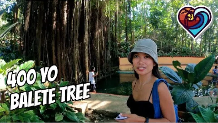 Preview image for the video "400-ЛЕТНЕЕ ДЕРЕВО БАЛЕТЕ | ОСТРОВ СИКИХОР | ФИЛИППИНЫ".