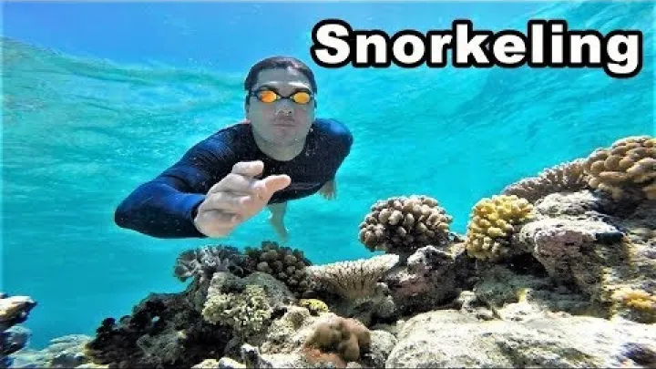 Preview image for the video "Cel mai bun snorkeling în Filipine".