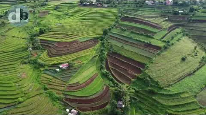 Preview image for the video "Canlaon Rice Terraces".