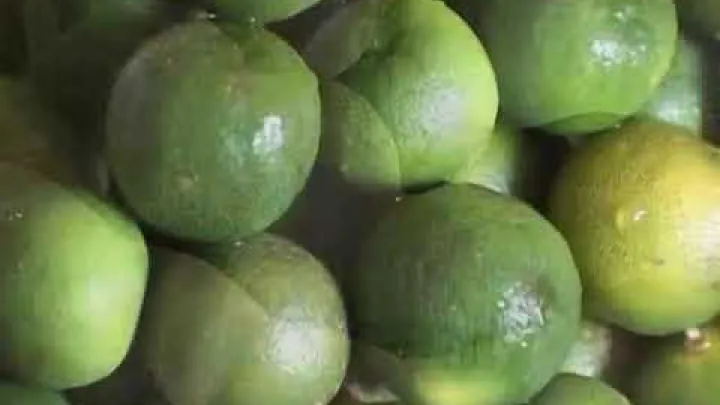 Preview image for the video "WIE MAN GETROCKNETE MANGOS UND SAFT HERSTELLT. CEBU. PHILIPPINEN | Open Doors |".