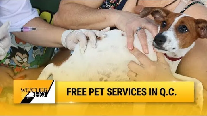 Preview image for the video "ડૉ. રે ડેલ નેપોલ્સ સાથે પાલતુ પ્રાણીઓ માટે ક્વેઝોન સિટીની મફત પશુચિકિત્સા સેવાઓ | આજે એક સુંદર દિવસ છે".