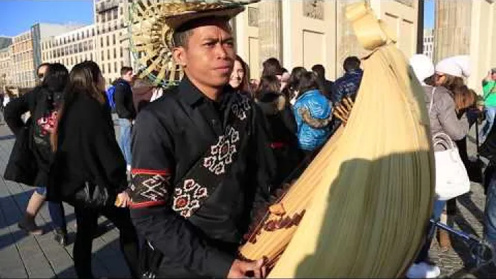 Preview image for the video "Sasando Original Indonesian Traditional Music Instrument".