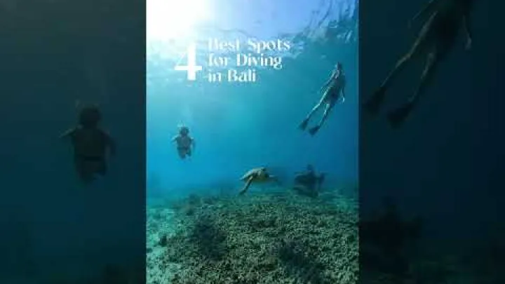 Preview image for the video "le 4 migliori località per le immersioni a Bali".