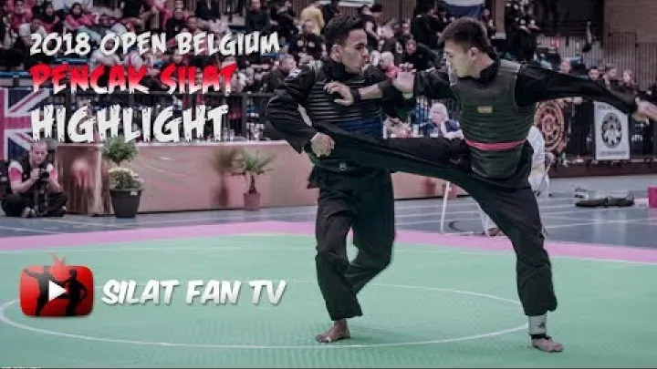 Preview image for the video "2018 OPEN BELGIUM PENCAK SILAT HIGHLIGHT".