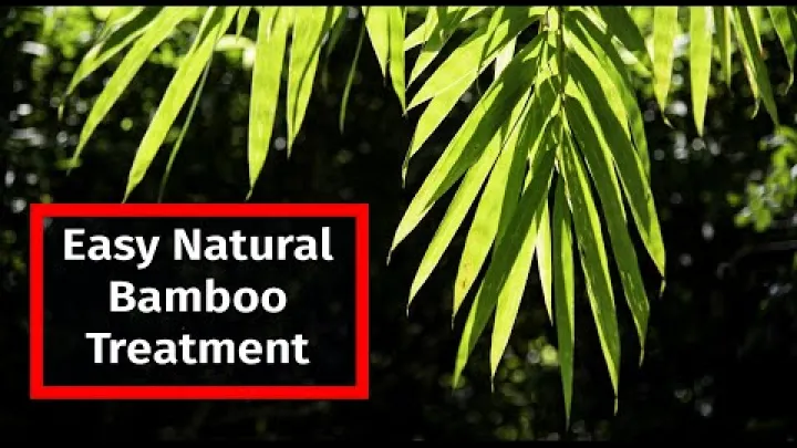 Preview image for the video "The Secret to Long-Lasting Bamboo: Treating Bamboo with Borax and Boric Acid".