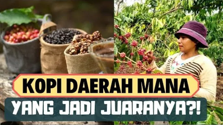 Preview image for the video "ACEH, LAMPUNG, HINGGA PAPUA! INILAH DAERAH PENGHASIL BIJI KOPI TERBAIK DI INDONESIA".