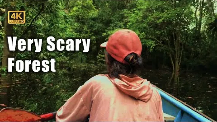 Preview image for the video "Oppdag Kalimantan: Utforsk Kapuas-elven og jungelens hemmeligheter".