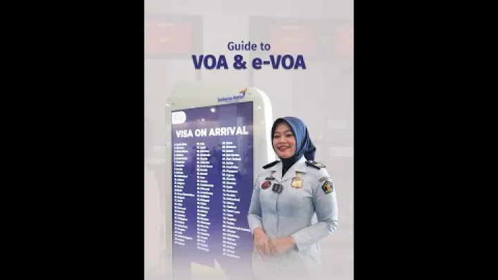Preview image for the video "VOA এবং e-VOA গাইড".