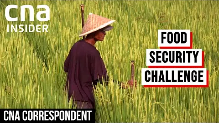 Preview image for the video "Indonesia sliter med å nå matselvforsyning | CNA Correspondent".