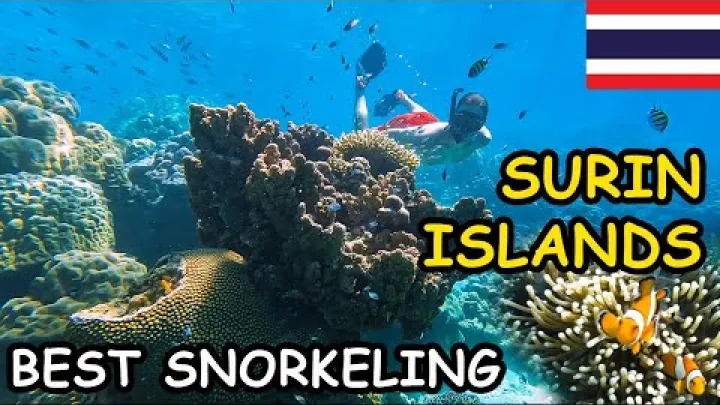 Preview image for the video "🇹🇭 Surin Islands Best Snorkeling in Thailand".