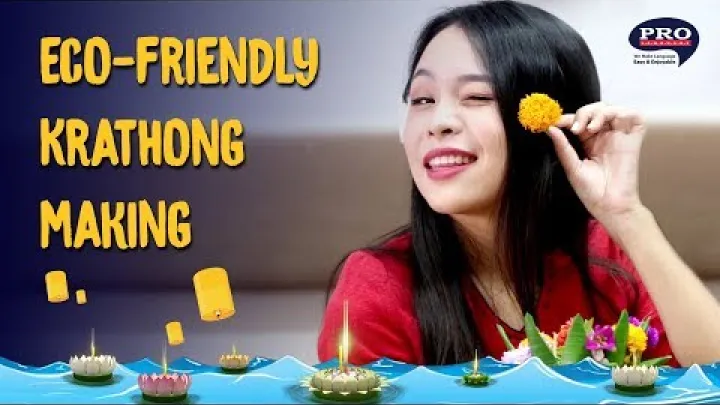 Preview image for the video "Лой Кратоң фестивалі | Қоршаған ортаға зиянсыз кратоң жасау".