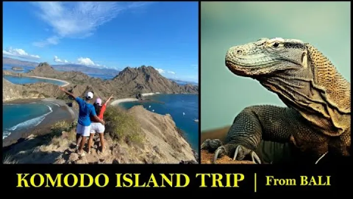 Preview image for the video "കൊമോഡോ ദ്വീപിലേക്ക് എങ്ങനെ പോകാം 2024 | ബാലി നിന്ന് | പാഡാർ ദ്വീപ് &amp; പിങ്ക് ബീച്ച് | കൊമോഡോ ഡ്രാഗണുകൾ".